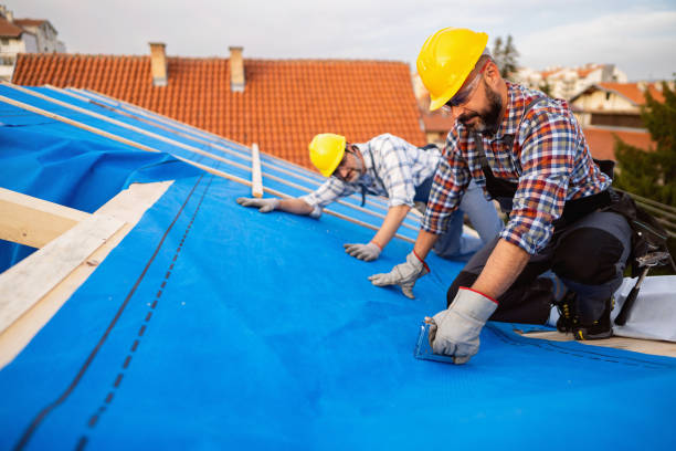 Quick and Trustworthy Emergency Roof Repair Services in Minerva Park, OH