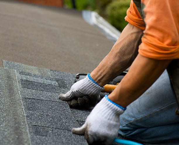 Quick and Trustworthy Emergency Roof Repair Services in Minerva Park, OH